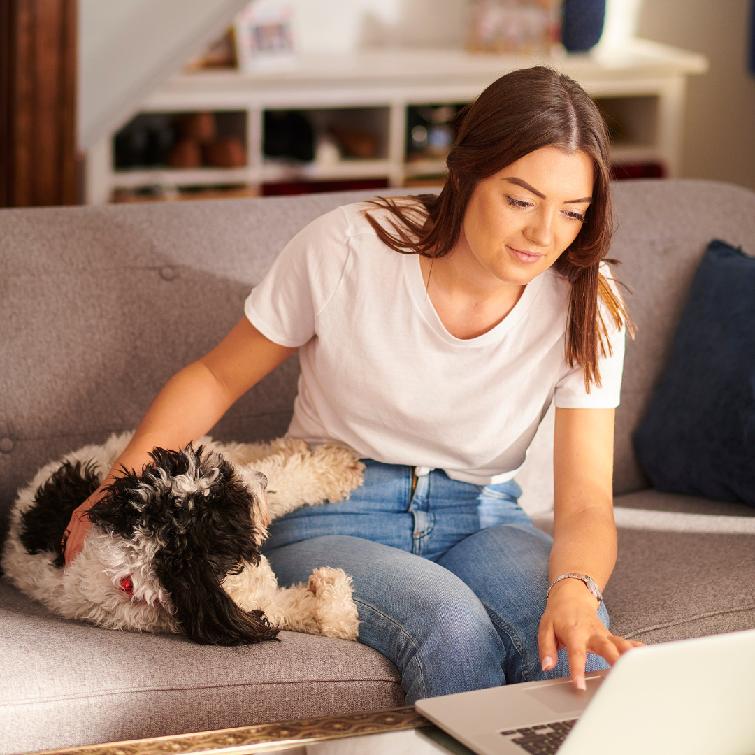 Keeping Pets Safe: Preventing Lost Pets on the 4th of July