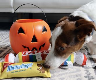 Trick-or-Treating Anxiety?