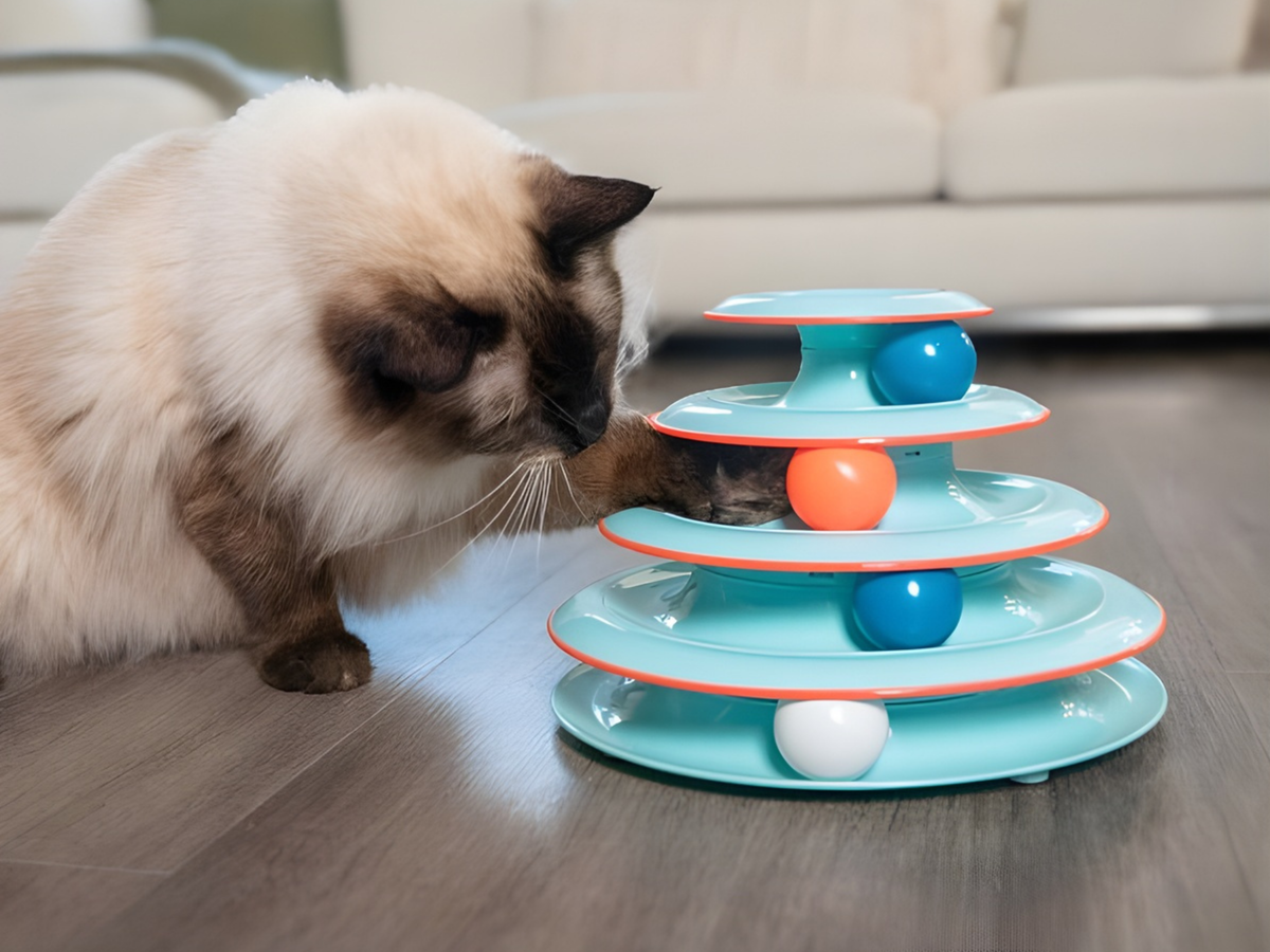 Why Interactive Play Is Crucial for Your Cat's Happiness