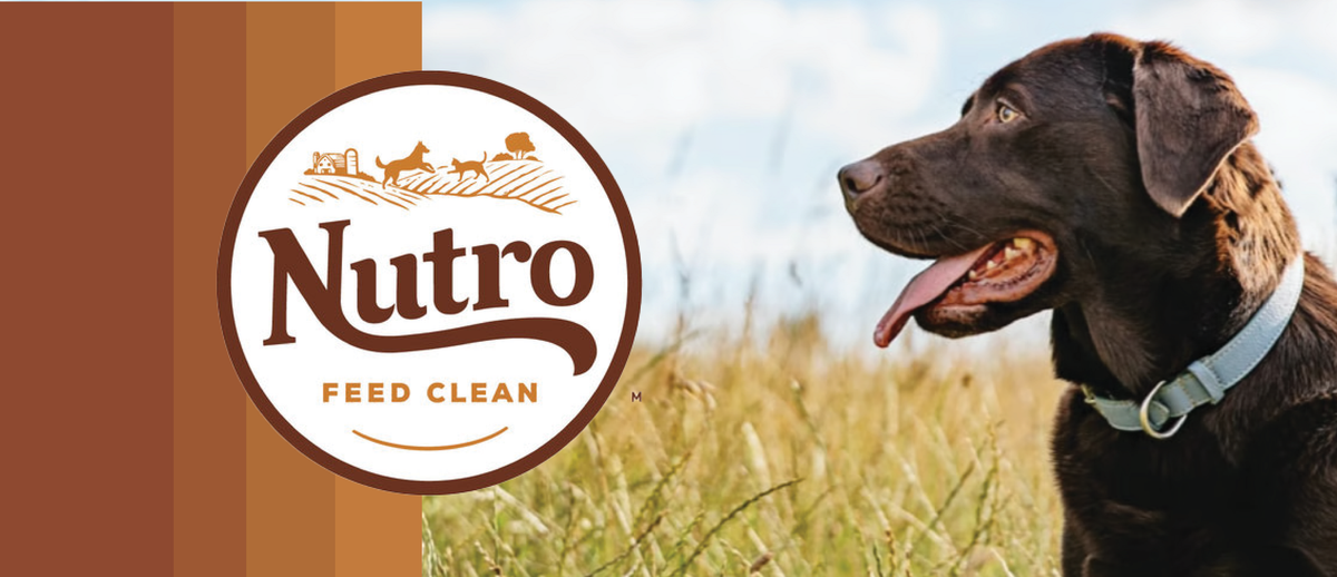 Nutro