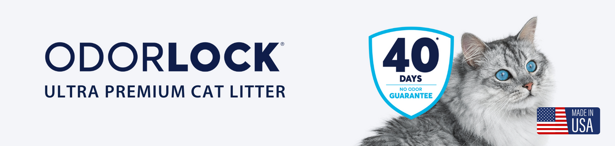 Feeders Pet Supply