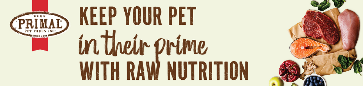 Feeders Pet Supply