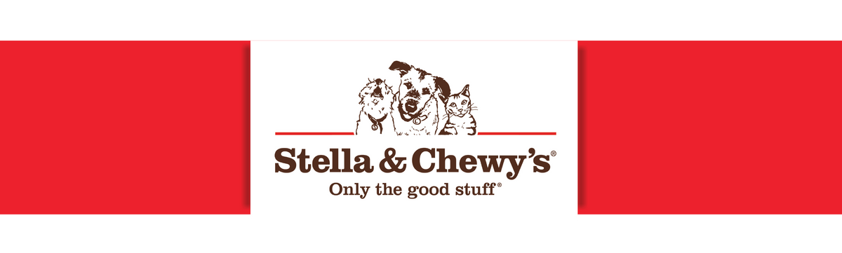 Feeders Pet Supply