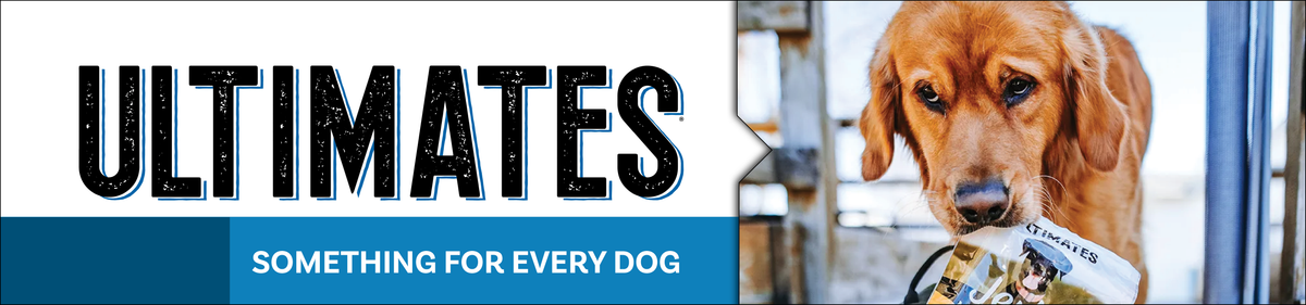 Feeders Pet Supply
