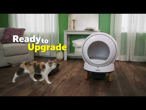 Load video: