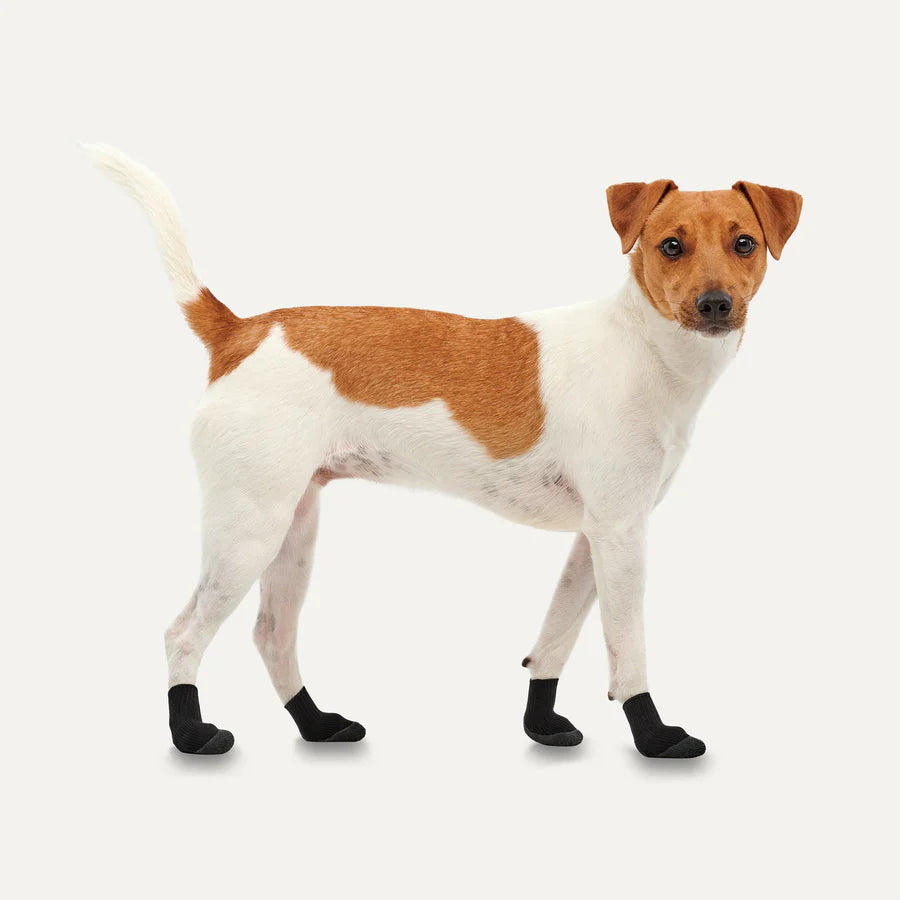 gooeez Dog Boots XXL 4足入り　新品 Goo-Eez Lites All-Season Dog Boots – Feeders Pet Supply