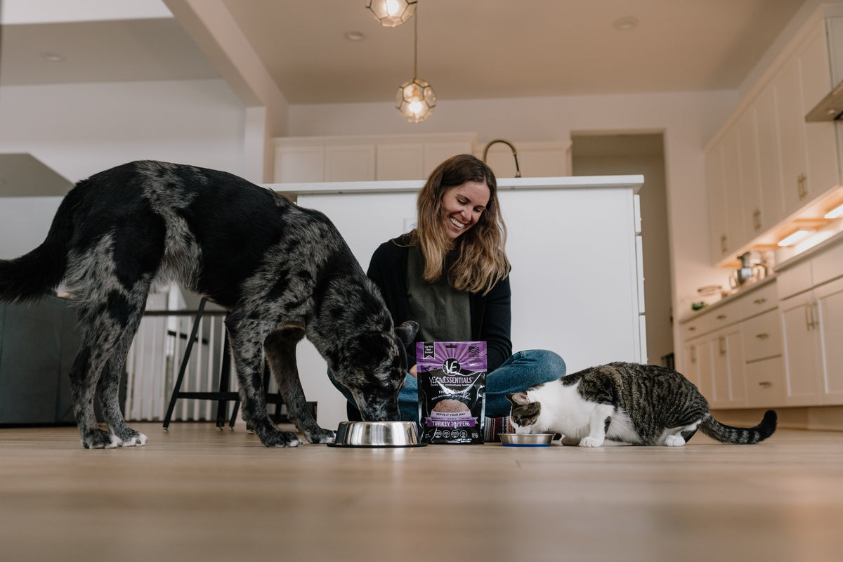 What you Need to know about Raw Pet Food