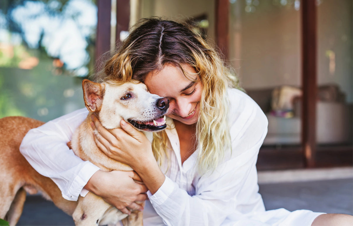 Is Feeding a Raw Diet Safe for my Pet?