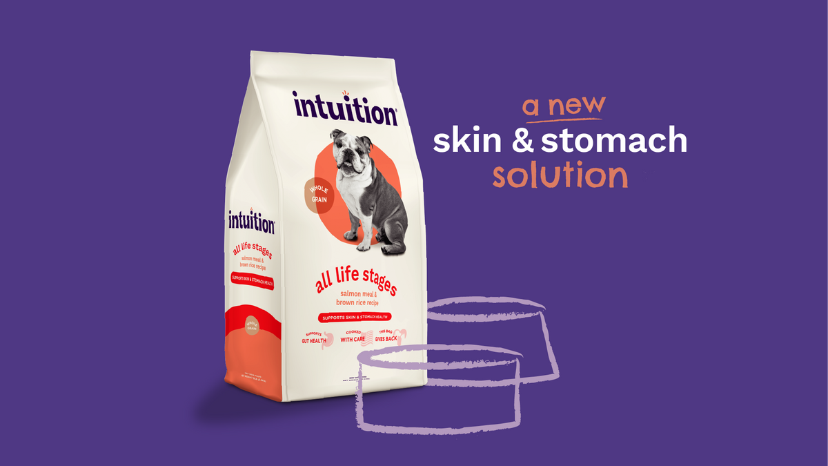 NEW Sensitive Skin & Stomach Dog Food: Premium Nutrition, Better Value