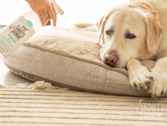 Reimagine Pet Cleanup with Skout’s Honor: All-New Stain & Odor Eliminator Products Now at Feeders Pet Supply!