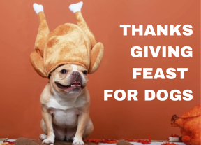 Build Your Dog’s Thanksgiving Feast Bowl