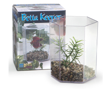 Fish - Aquarium Kits - Betta