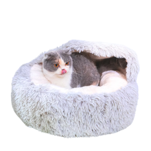 Cat - Supplies - Beds