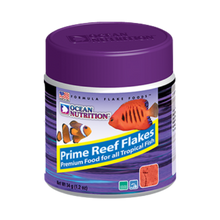 Fish - Supplies - Saltwater Supplies