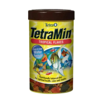 Fish - Food - Tropical Food