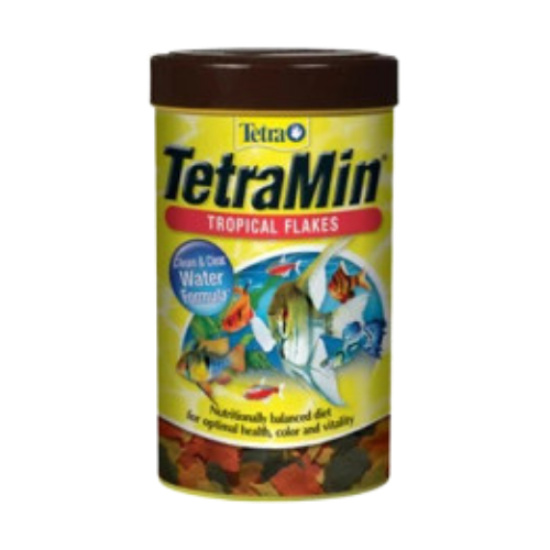 Fish - Food - Tropical Food