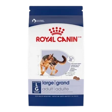 Dog - Food