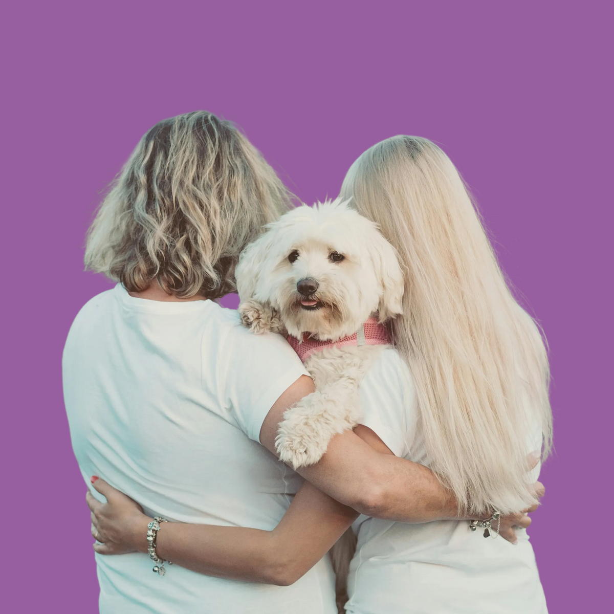 Pet Parent