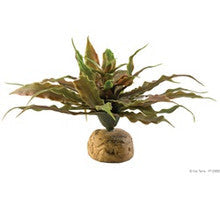 Reptile - Supplies - Decor Accessories