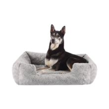 Dog - Supplies - Beds