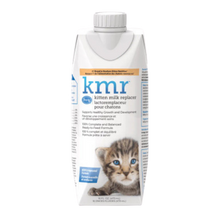 Cat - Supplies - Kitten Essentials