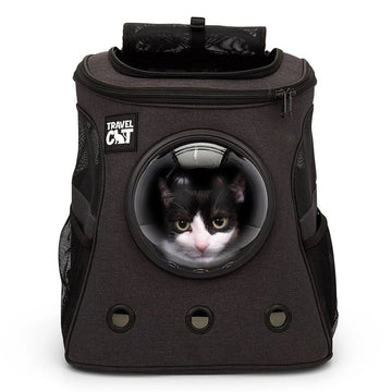 Cat - Supplies - Travel