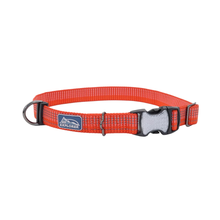 Dog - Supplies - Collars Harnesses Leashes