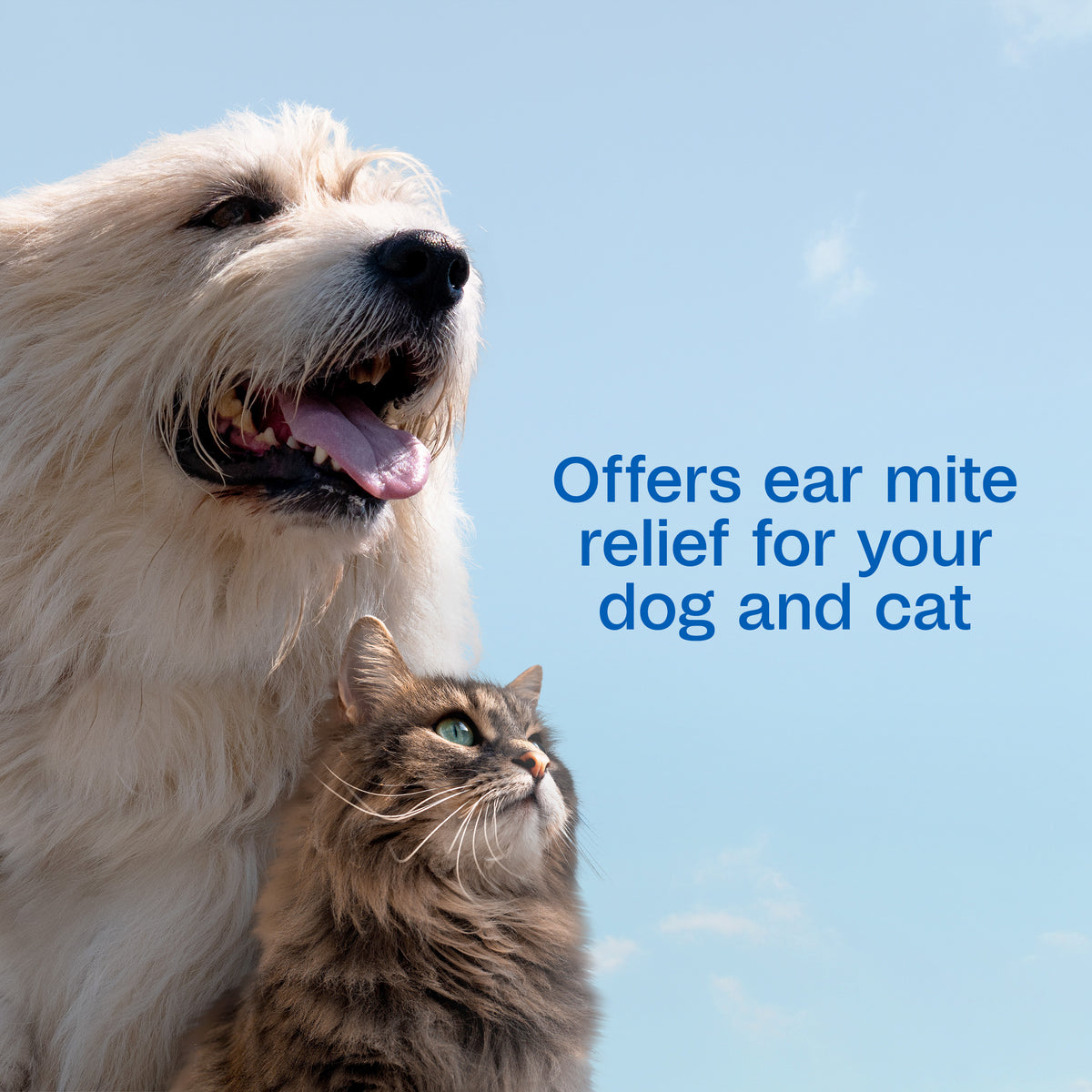 Adams Clear Ear Mite Treatment for Dogs & Cats .5 oz