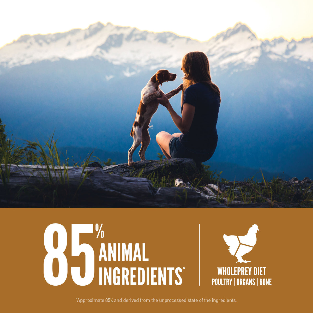 Orijen Puppy Grain-Free Dry Dog Food