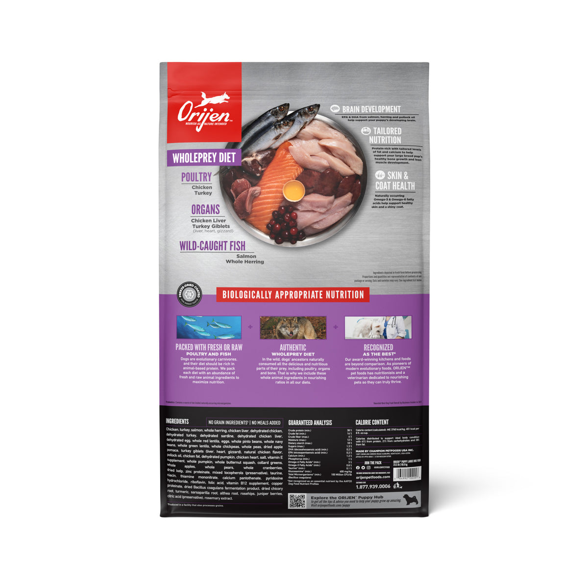 Orijen Large Breed Puppy Grain-Free Dry Dog Food 23.5 lb