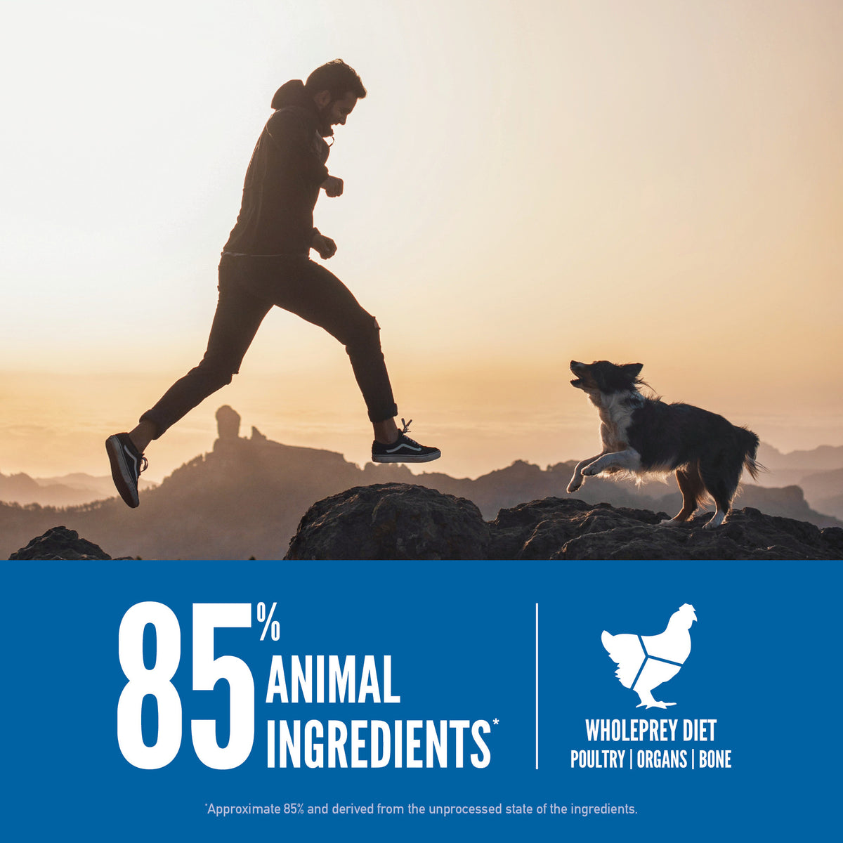 Orijen Original Grain-Free Dry Dog Food