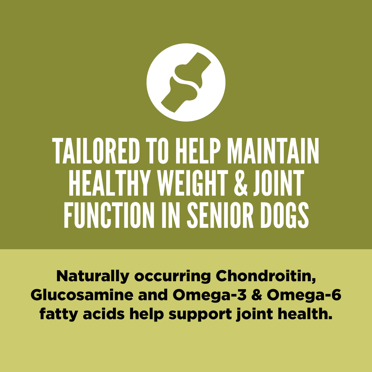 ORIJEN Senior Grain-Free Dry Dog Food