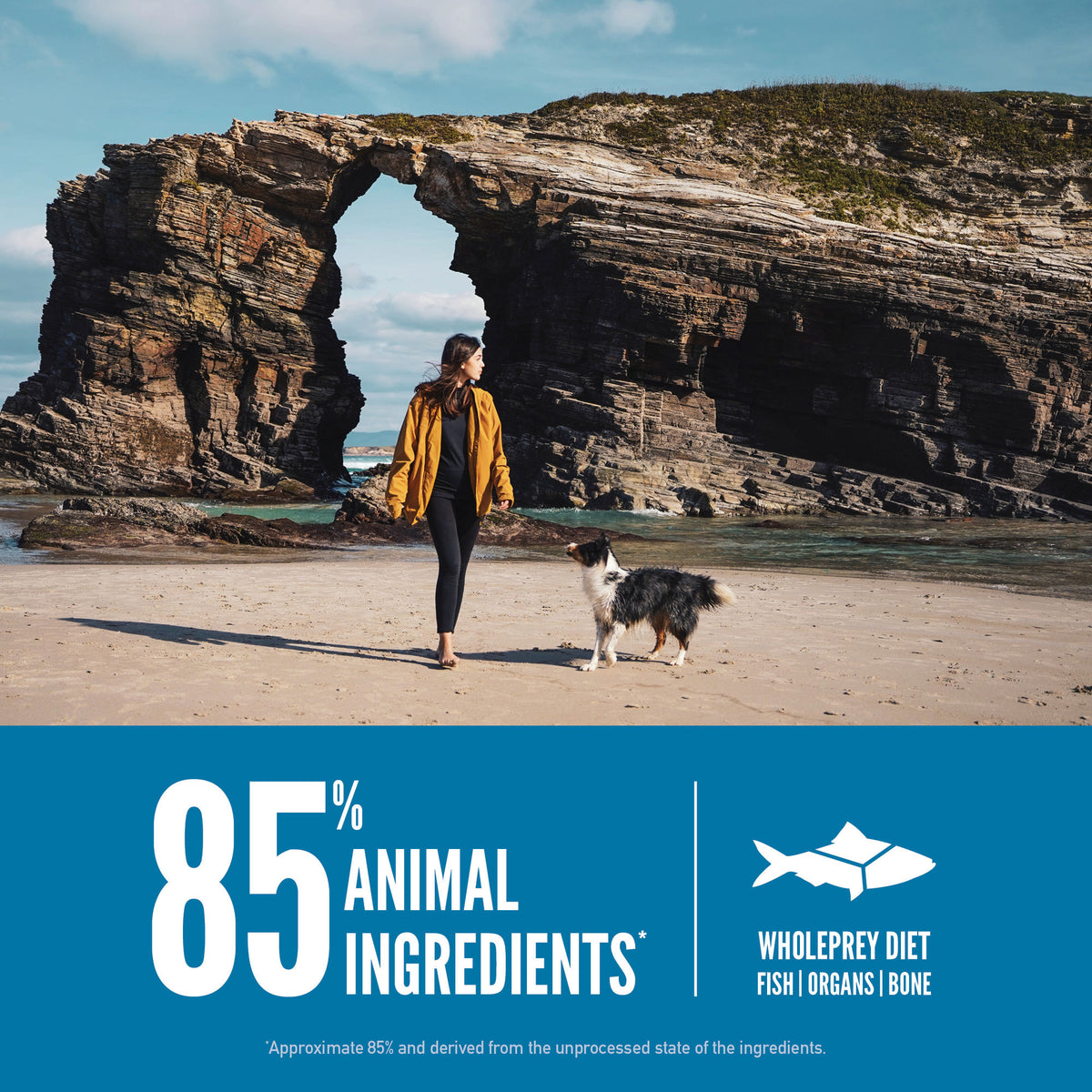 Orijen Six Fish Grain-Free Dry Dog Food