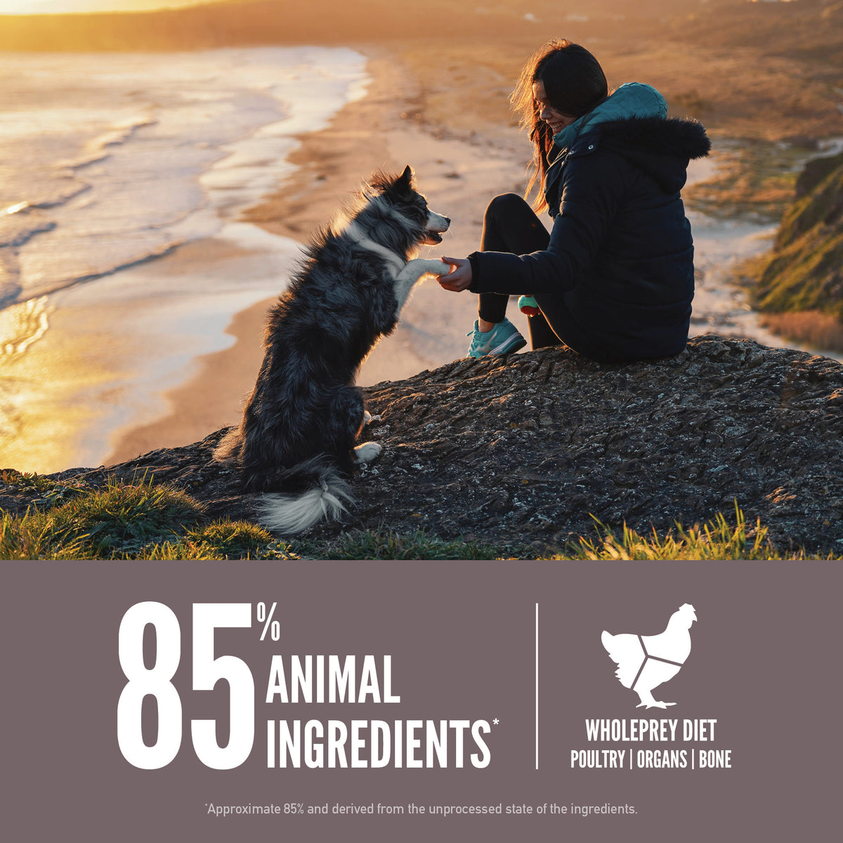 Orijen Fit & Trim Grain-Free Dry Dog Food