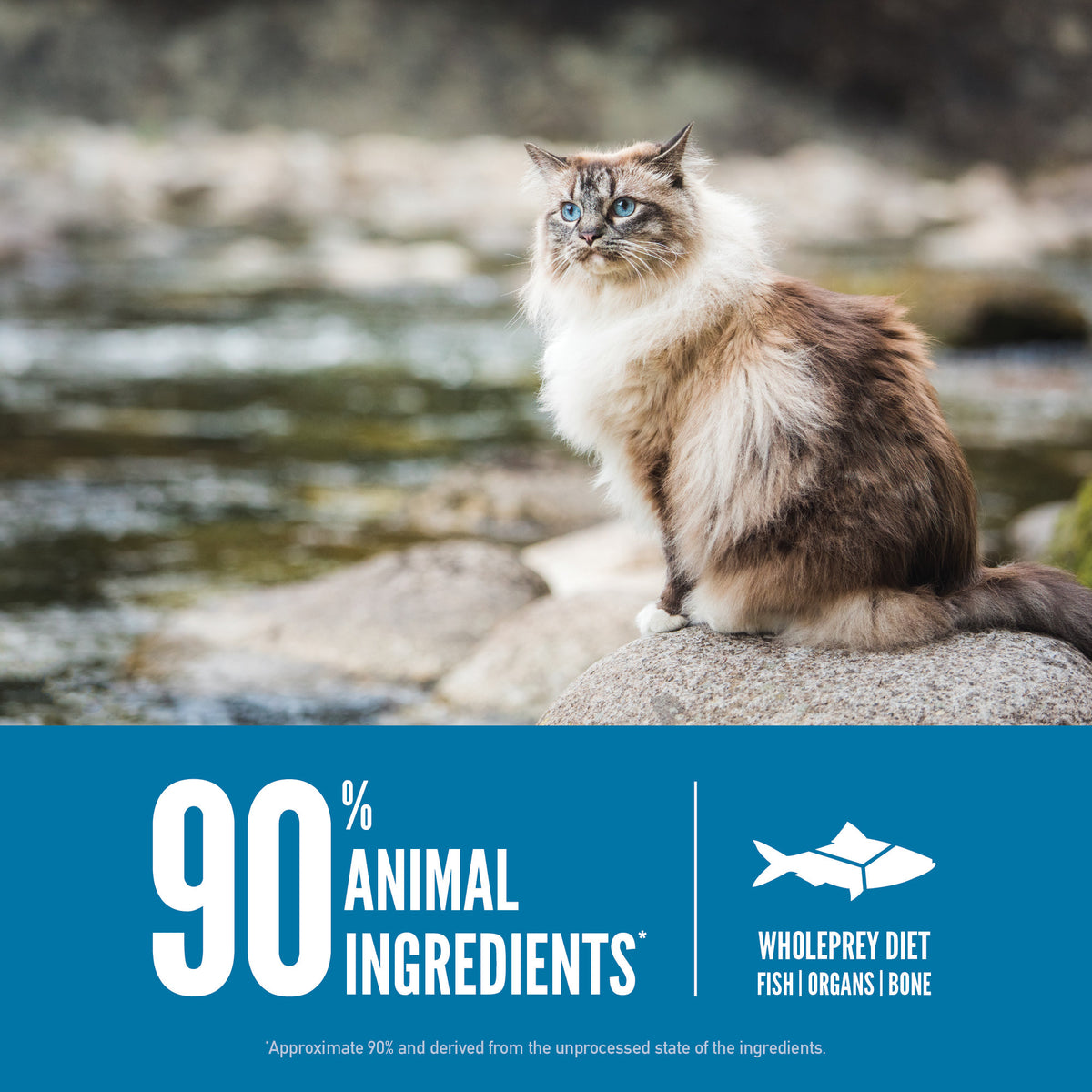 ORIJEN Six Fish Biologically Appropriate Grain-Free Dry Cat Food
