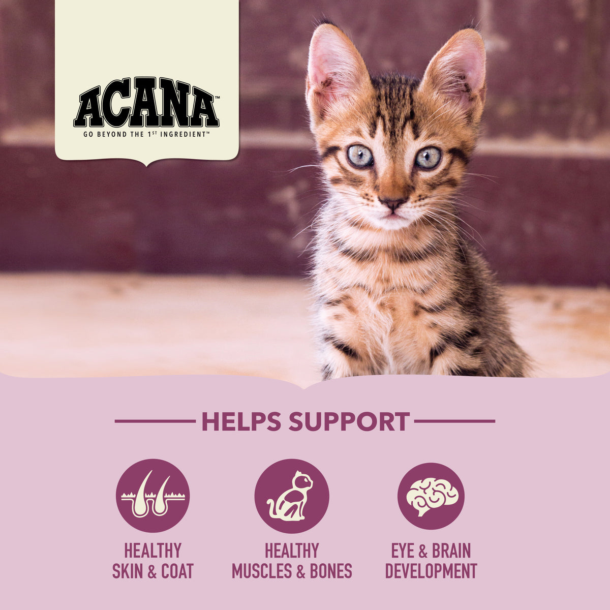 Acana First Feast Dry Kitten Food 4 lb