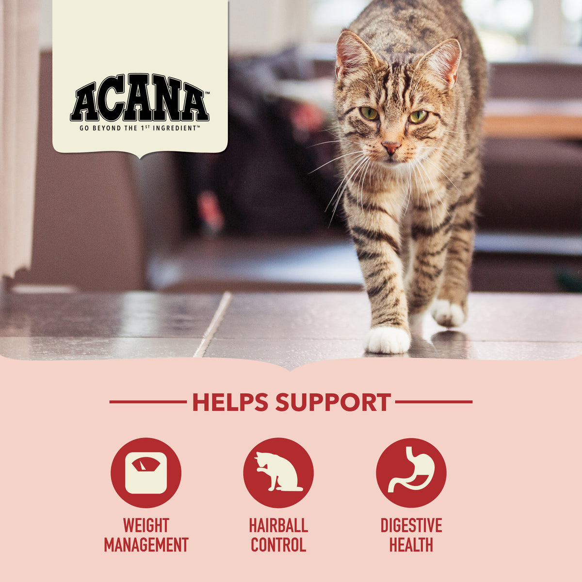 Acana Indoor Entree Adult Dry Cat Food