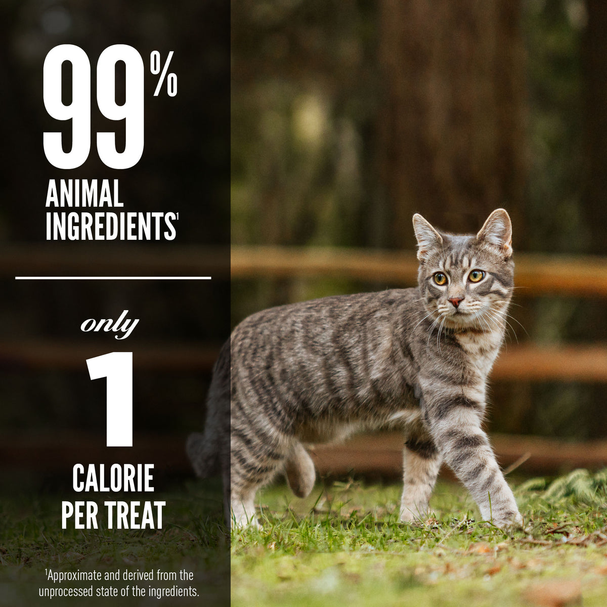Orijen Original Freeze-Dried Cat Treats 1.25 oz
