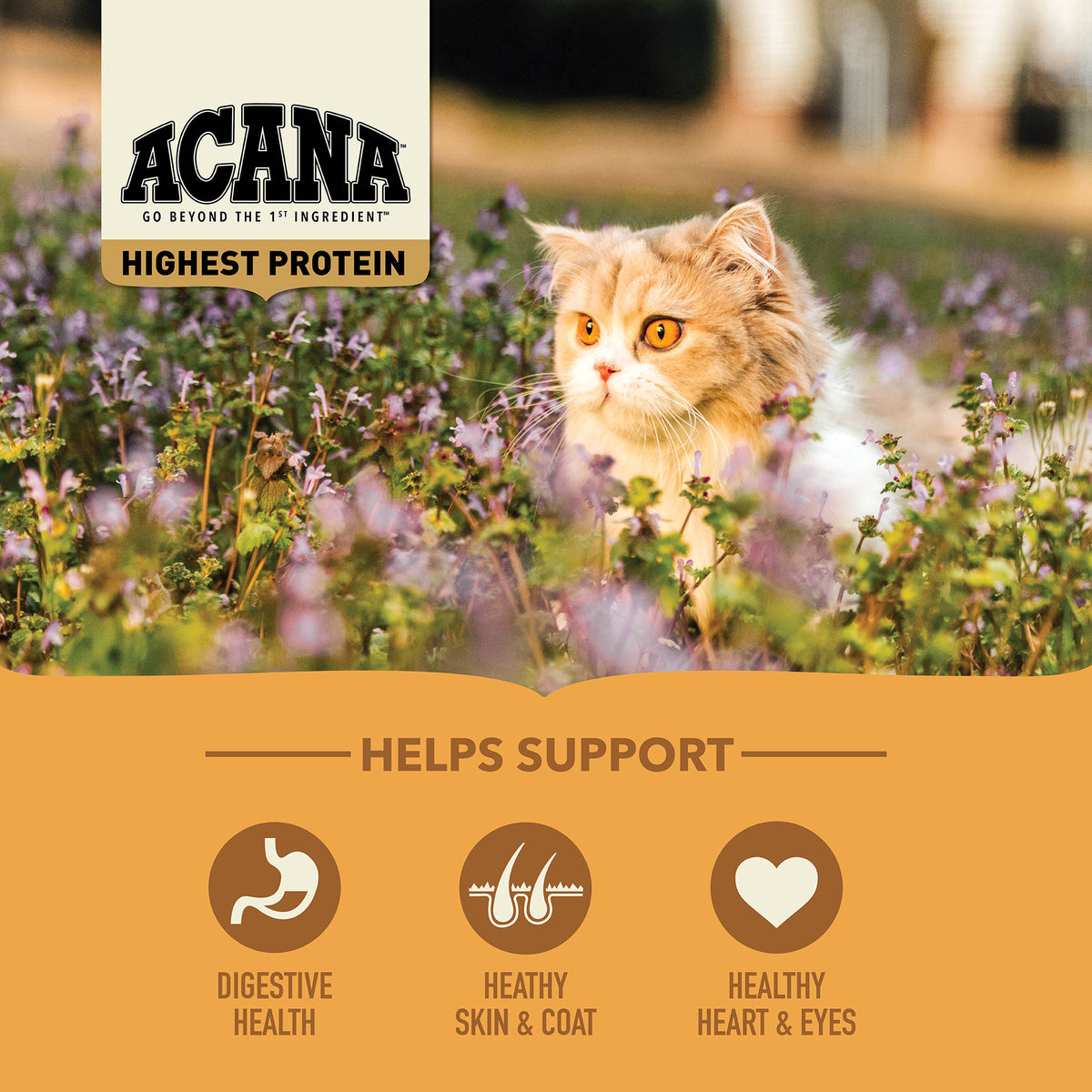 Acana Meadowlands Grain-Free Dry Cat Food