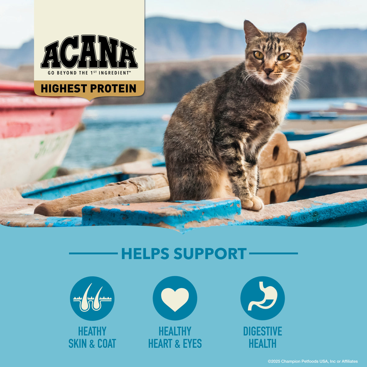 Acana Wild Atlantic Grain-Free Dry Cat Food 4 lb