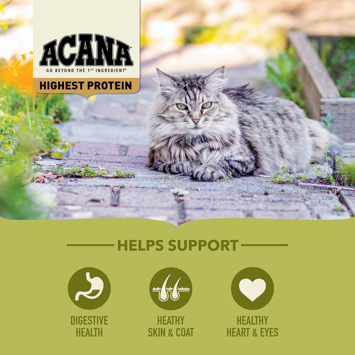 Acana Grasslands Grain-Free Dry Cat Food 4 lb