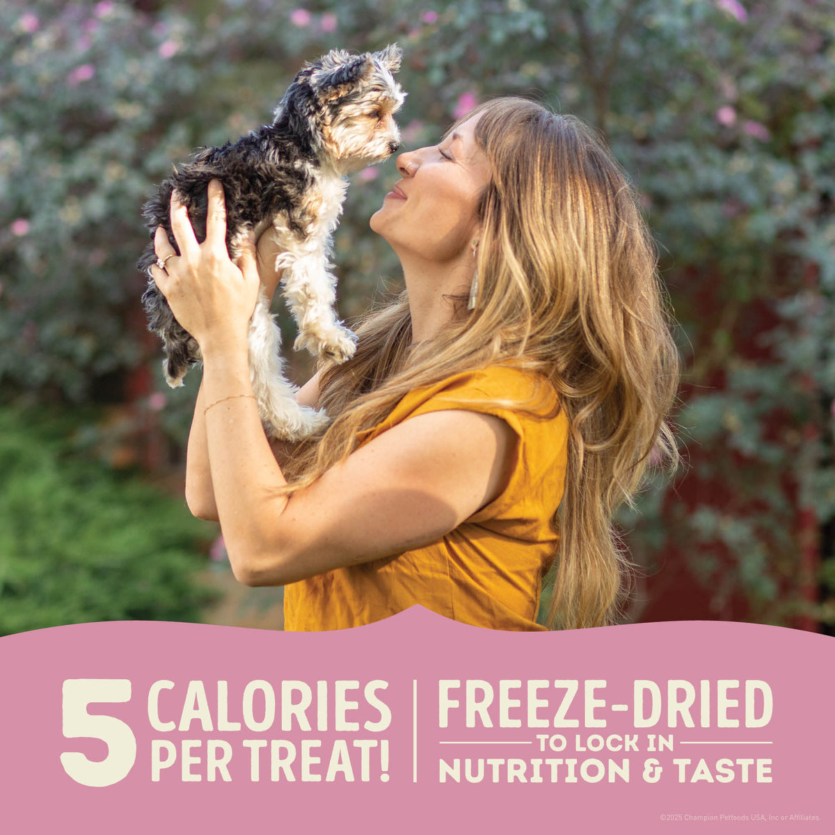 Acana Freeze-Dried Dog Treats Lamb & Apple Recipe 3.25 oz