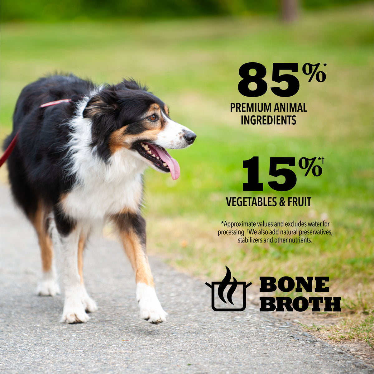 Acana Premium Chunks Lamb Recipe in Bone Broth for Dogs