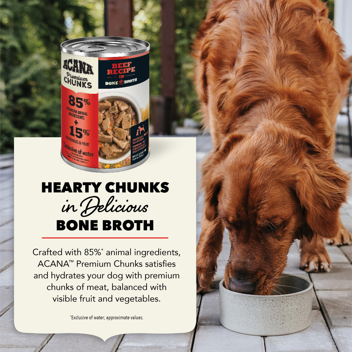 Acana Premium Chunks Beef Recipe In Bone Broth Wet Dog Food