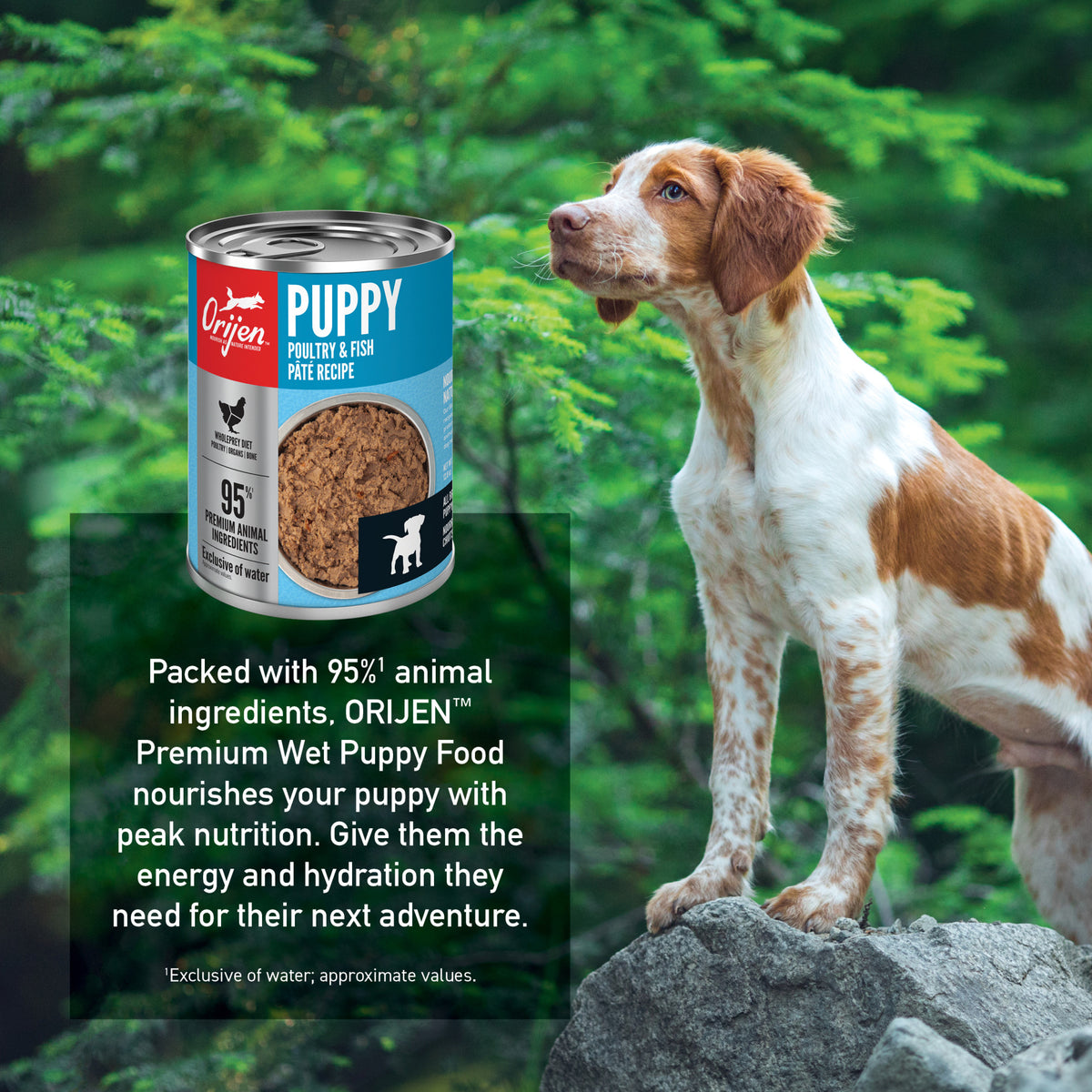 ORIJEN Puppy Poultry & Fish Pate Recipe Canned Dog Food