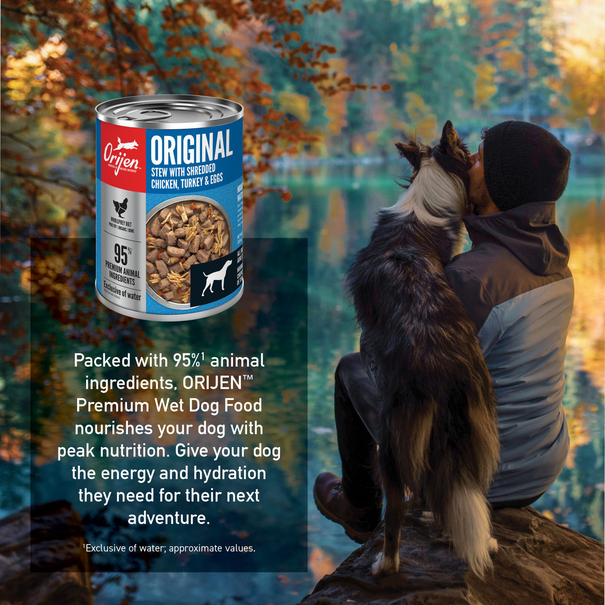 ORIJEN Original Stew Canned Dog Food