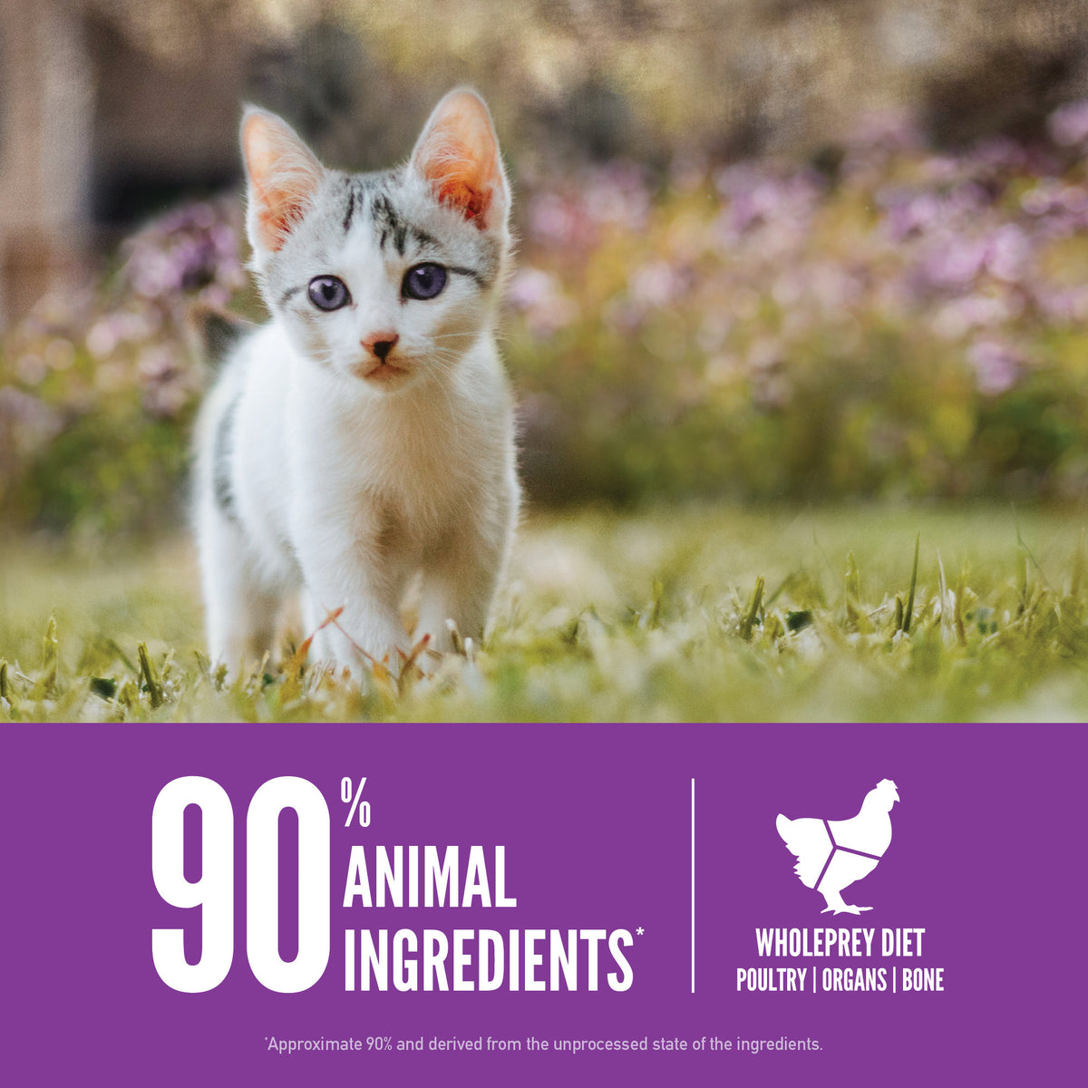 Orijen Grain-Free Kitten Food 4 lb