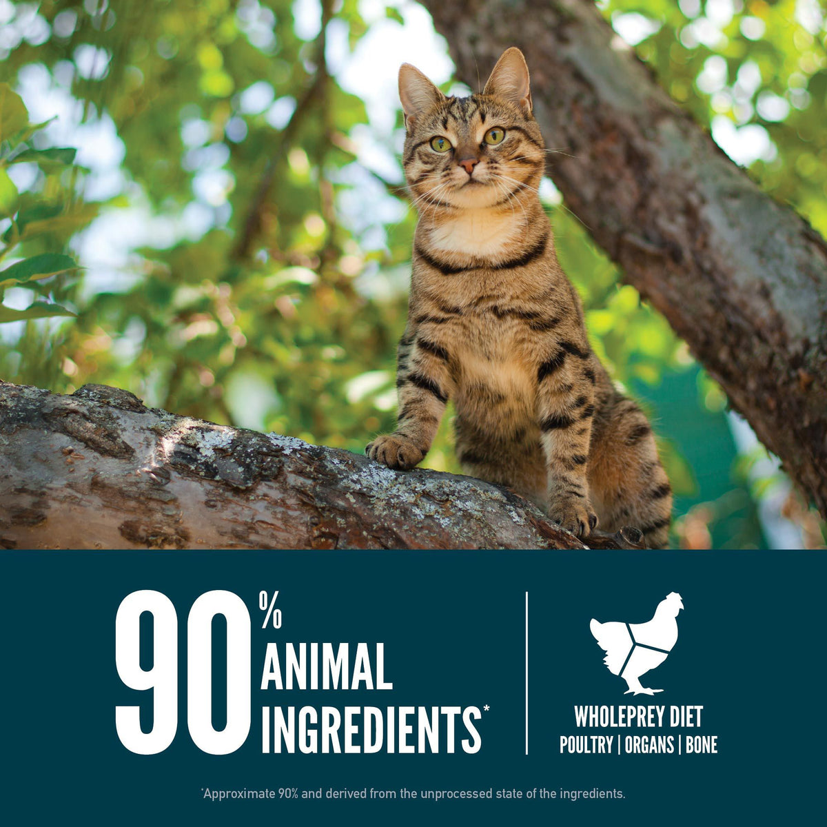 Orijen Grain-Free Guardian 8 Adult Cat Food 4 lb