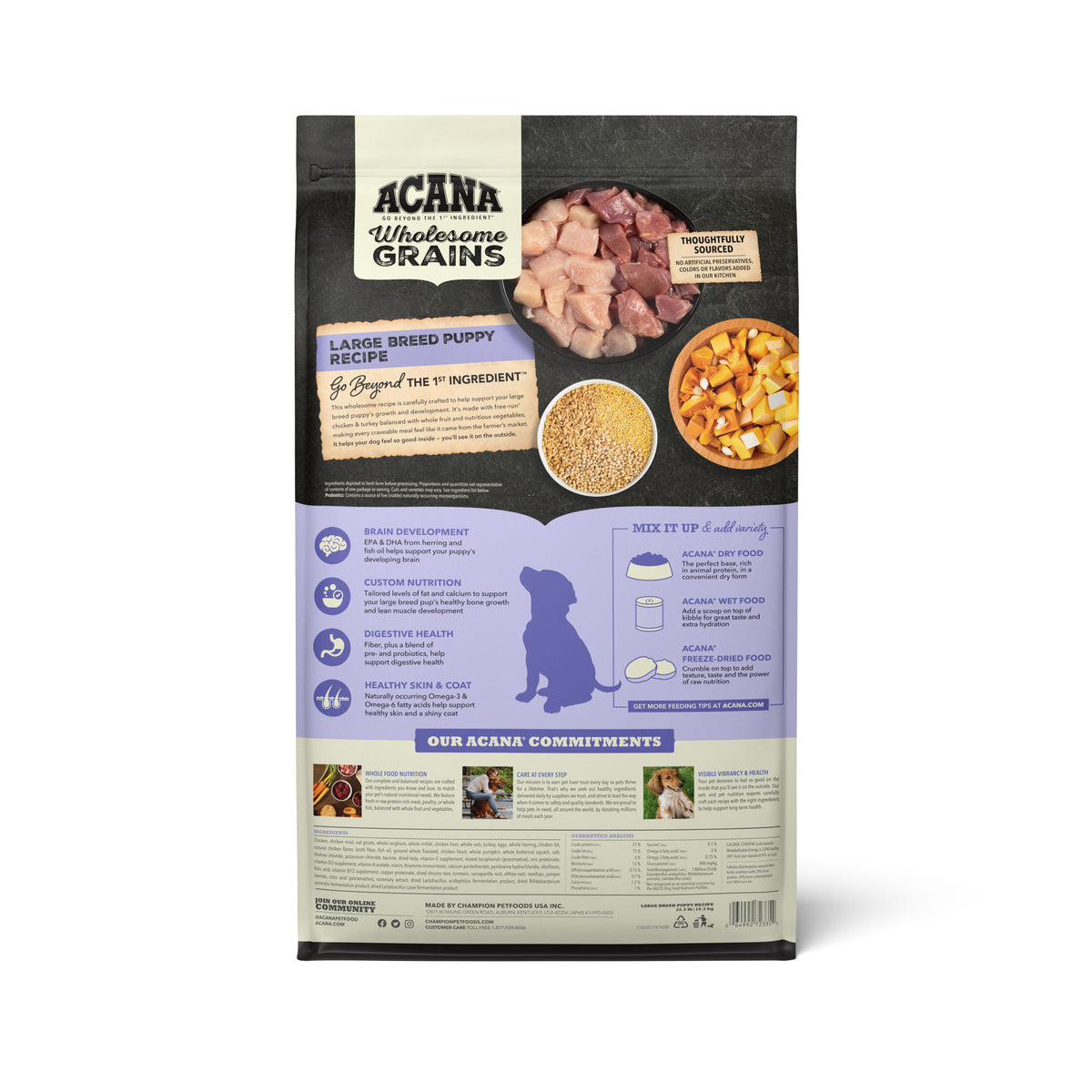 Acana Wholesome Grains Large Breed Puppy Dry Dog Food 22.5 lb