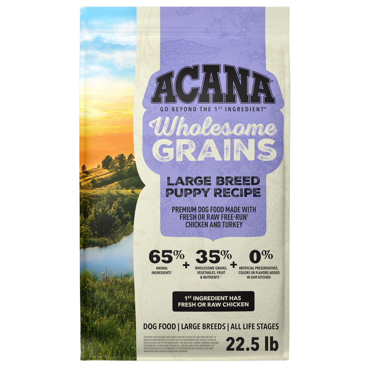 Acana Wholesome Grains Large Breed Puppy Dry Dog Food 22.5 lb